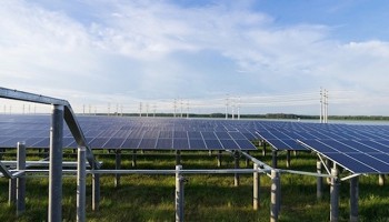 Điện Mặt Trời hút hàng chục nghìn tỷ vốn trái phiếu