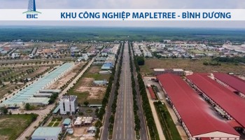 KHU CÔNG NGHIỆP MAPLETREE - BÌNH DƯƠNG