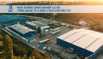 Nhà Xưởng Công Nghiệp Là Gì? Tổng Quan Từ A Đến Z Cho Chủ Đầu Tư 