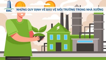 Những Quy Định Về Bảo Vệ Môi Trường Trong Nhà Xưởng