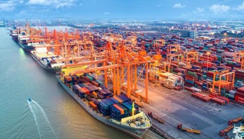 Việt Nam - miền đất mới cho đại bàng làm tổ
