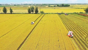 Việt Nam – một trong những nước hiếm hoi có tăng trưởng trên thế giới trong mùa dịch