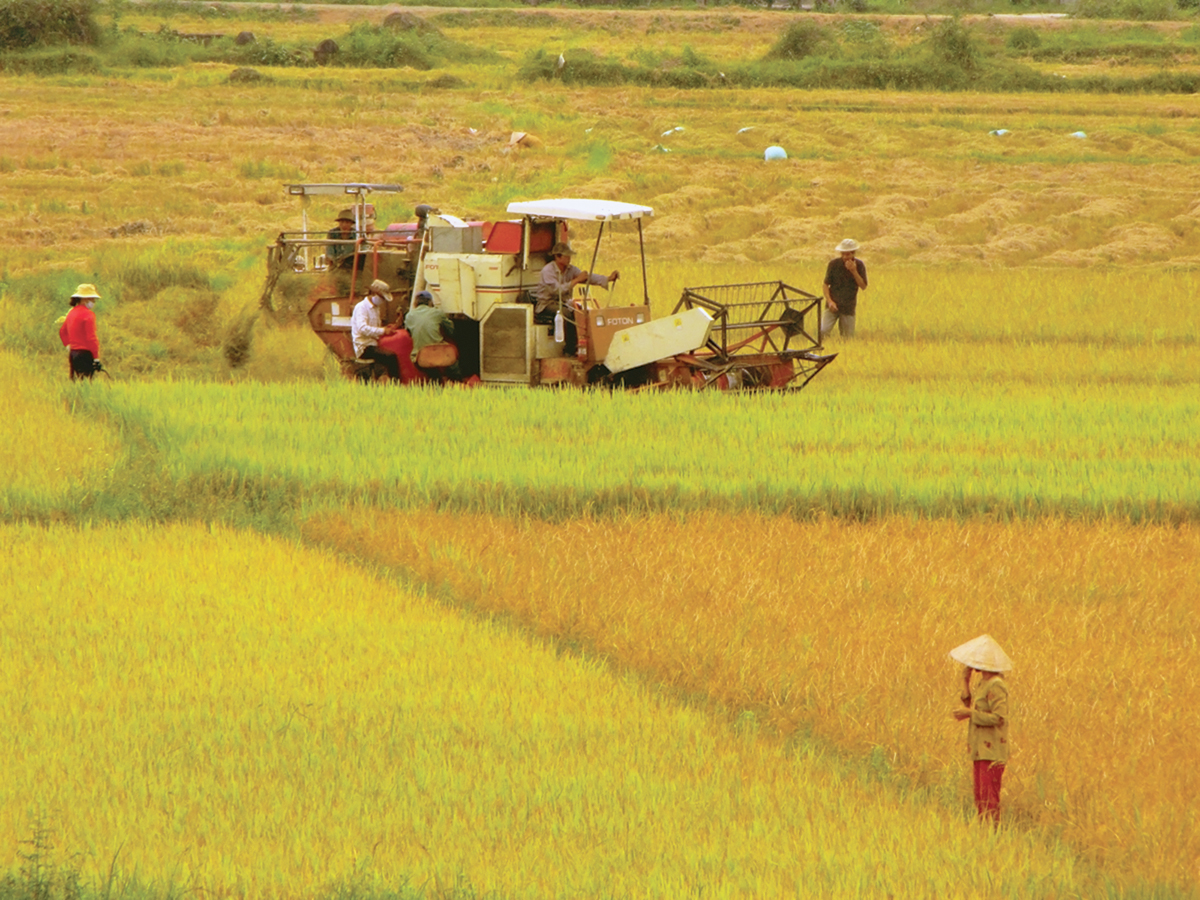 Việt Nam một trong những quốc gia hiếm hoi tăng trưởng kinh tế