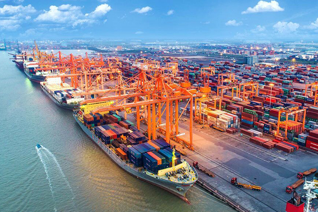 Việt Nam - miền đất mới cho đại bàng làm tổ